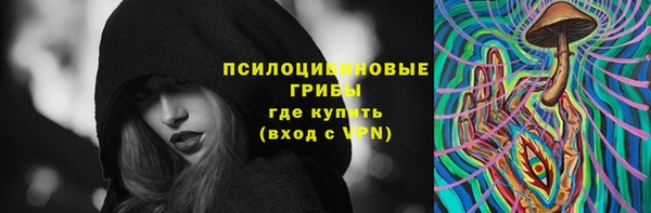 мяу мяу мука Алзамай