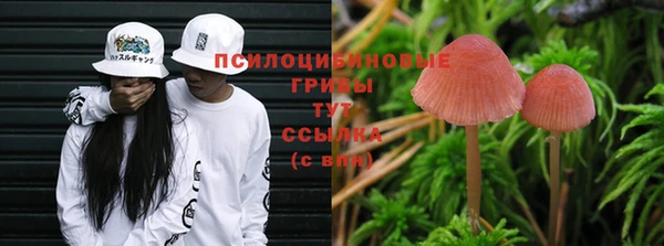 соль ск Алексеевка
